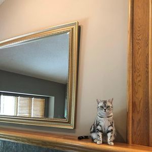 Meet your Posher, Stella